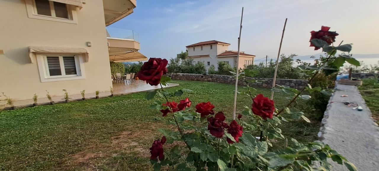 Lovely Stay Καλαμάτα Εξωτερικό φωτογραφία