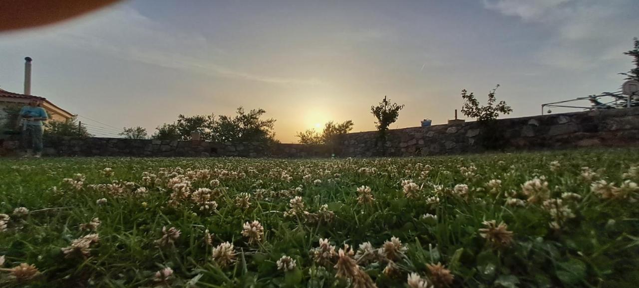 Lovely Stay Καλαμάτα Εξωτερικό φωτογραφία